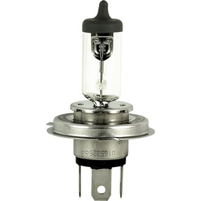 Nunc congue dui nec...