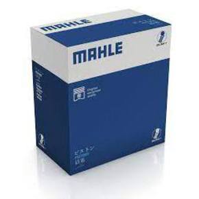 Nunc congue dui nec...