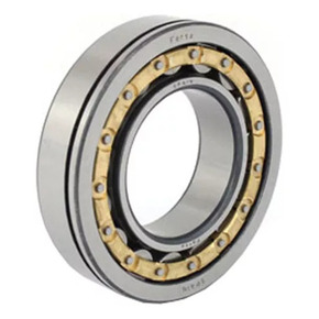 Nunc congue dui nec...