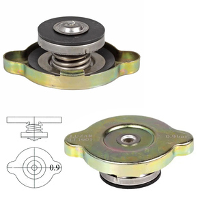 Nunc congue dui nec...