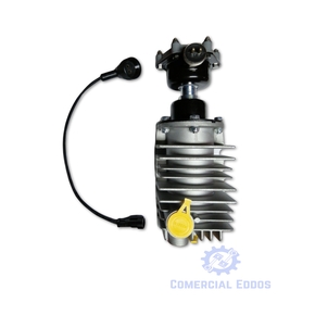 Nunc congue dui nec...