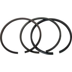 Nunc congue dui nec...