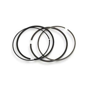 Nunc congue dui nec...