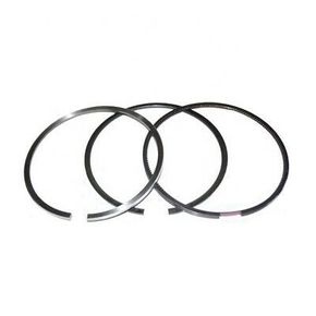 Nunc congue dui nec...