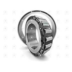 Nunc congue dui nec...