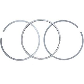 Nunc congue dui nec...