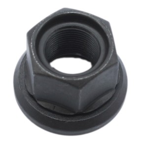 Nunc congue dui nec...