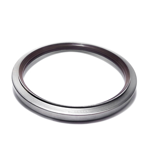 Nunc congue dui nec...