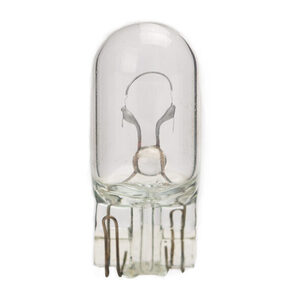 Nunc congue dui nec...