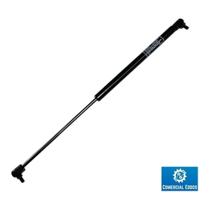 Nunc congue dui nec...