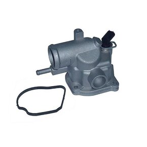 Nunc congue dui nec...