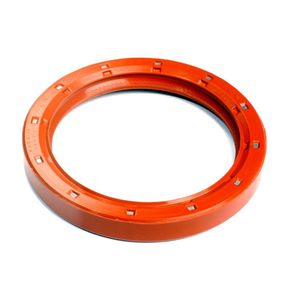 Nunc congue dui nec...