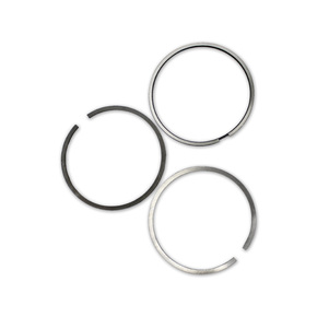 Nunc congue dui nec...