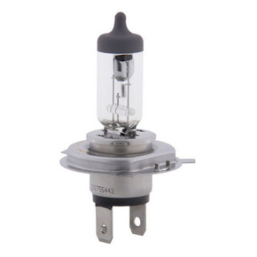 Nunc congue dui nec...