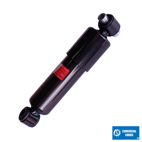 Nunc congue dui nec...