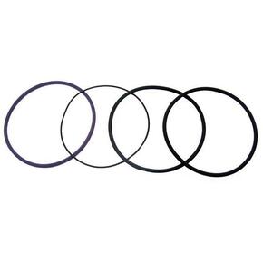 Nunc congue dui nec...