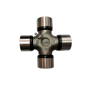 Nunc congue dui nec...