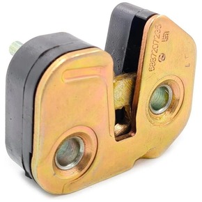 Nunc congue dui nec...