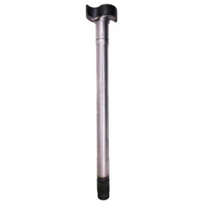 Nunc congue dui nec...