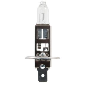 Nunc congue dui nec...