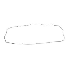 Nunc congue dui nec...