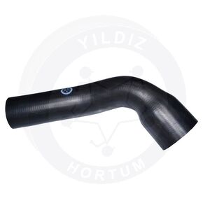 Nunc congue dui nec...