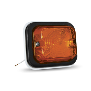 Nunc congue dui nec...