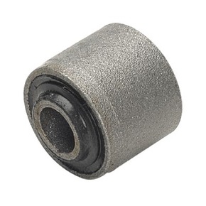 Nunc congue dui nec...