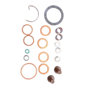 Nunc congue dui nec...