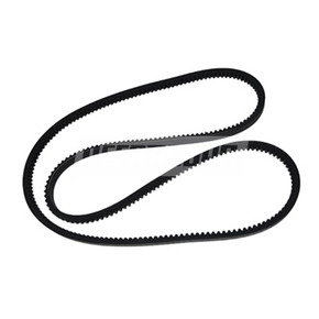 Nunc congue dui nec...