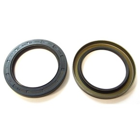 Nunc congue dui nec...