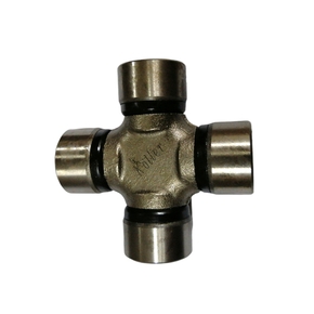 Nunc congue dui nec...