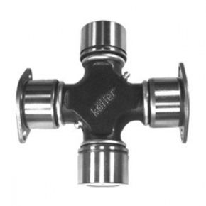 Nunc congue dui nec...