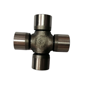 Nunc congue dui nec...