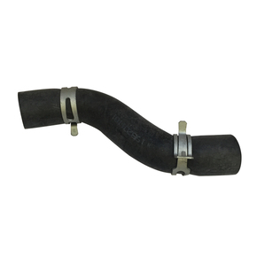 Nunc congue dui nec...