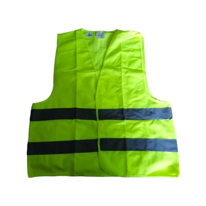 Nunc congue dui nec...