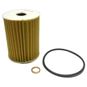 Nunc congue dui nec...