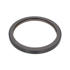 Nunc congue dui nec...