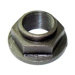 Nunc congue dui nec...