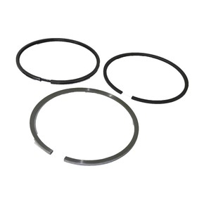 Nunc congue dui nec...