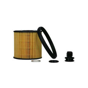 Nunc congue dui nec...