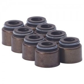 Nunc congue dui nec...