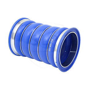 Nunc congue dui nec...