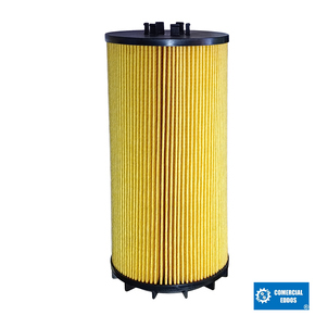 Nunc congue dui nec...