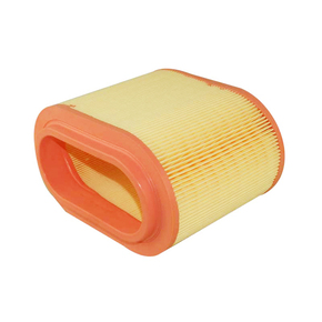 Nunc congue dui nec...