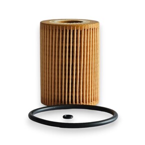 Nunc congue dui nec...