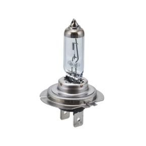 Nunc congue dui nec...