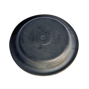 Nunc congue dui nec...