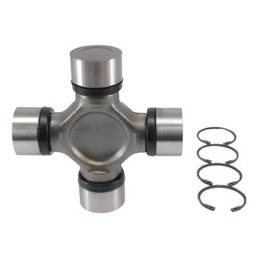 Nunc congue dui nec...