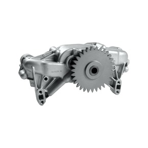 Nunc congue dui nec...